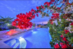 Villa Arissa